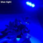 10 Pieces LED 3W 5V USB Light Board SMD 5730 Chip Red Green Warm White Yellow Purple Round Changing Light Source With 20 Cm Cabl