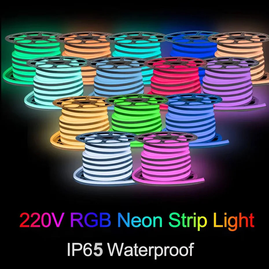 30M 20M 10M RGB LED Neon Strip Light 220V Decor Home Lighting Waterproof Flexible LED Ribbon Remote/Bluetooth/Tuya WiFi Control