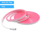 12V 24V LED Neon Light Strip Waterproof Neon Sign 6X12mm Silicone Rope Lights Flexible Lamp Decoration with DC Plug/2pin Wire