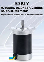 Brushless DC motor 57BLY-0730NBB/1030NBB/1230NBB, adjustable speed, with Hall sensor