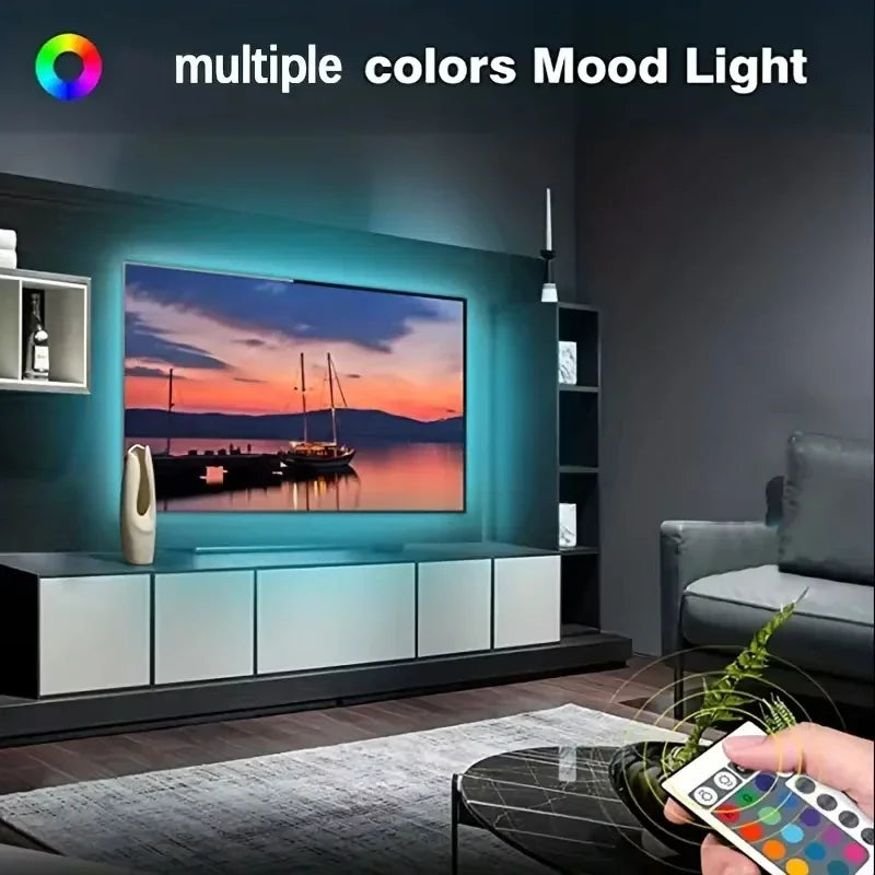 1-30M USB 5V LED Strip Lights With Bluetooth 24Keys Remote Control RGB Flexible Lamp Diode Tape For Room Decoration TV Backlight