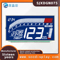 Wholesale Customization SJXDGN075 Wide Temperature Digital Display LCD Screen HTN Anti Glare Segment Code Screen for Motorcycles