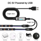 Smart 2IN1 USB LED Strip Lights RGB 5050 Remote Control Kit Flexible Ribbon LED Diode Tape Self-adhesive for TV Backlight