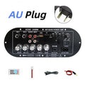 Woopker D350W HIFI Bass Power Amplifier 100W Bluetooth/USB/TF/FM Amplifier board Dual Mic AD/DC Digital Amplifier Board for home