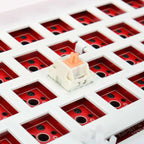 Holy Panda V2 Tactile Keyboard Switch 5 Pins 55g 62g 67g PC POM Nylon Factory Lubed Mechanical Keyboard Custom Switches Hot Plug