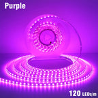 5mm 8mm LED Strip 2835 DC24V 12V 120LEDs/m Home Lamp Strips Red Ice Blue Yellow Orange Pink Flexible And Cuttable Soft Lamp Bar
