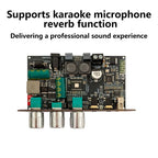 ZK-1001UM DC 9-24V mono 100W Bluetooth amplifier board TPA3116D2 supports TWS to speaker karaoke microphone reverb