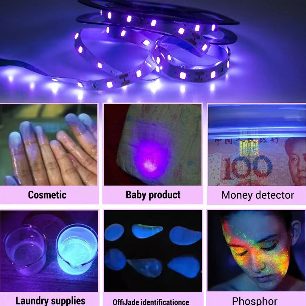 UV 1M-5M LED Strip 365nm Ultraviolet Ray Flexible Tape DC5V 12V 3528 SMD for UV Curing Currency Validation Masquerade Exhibition