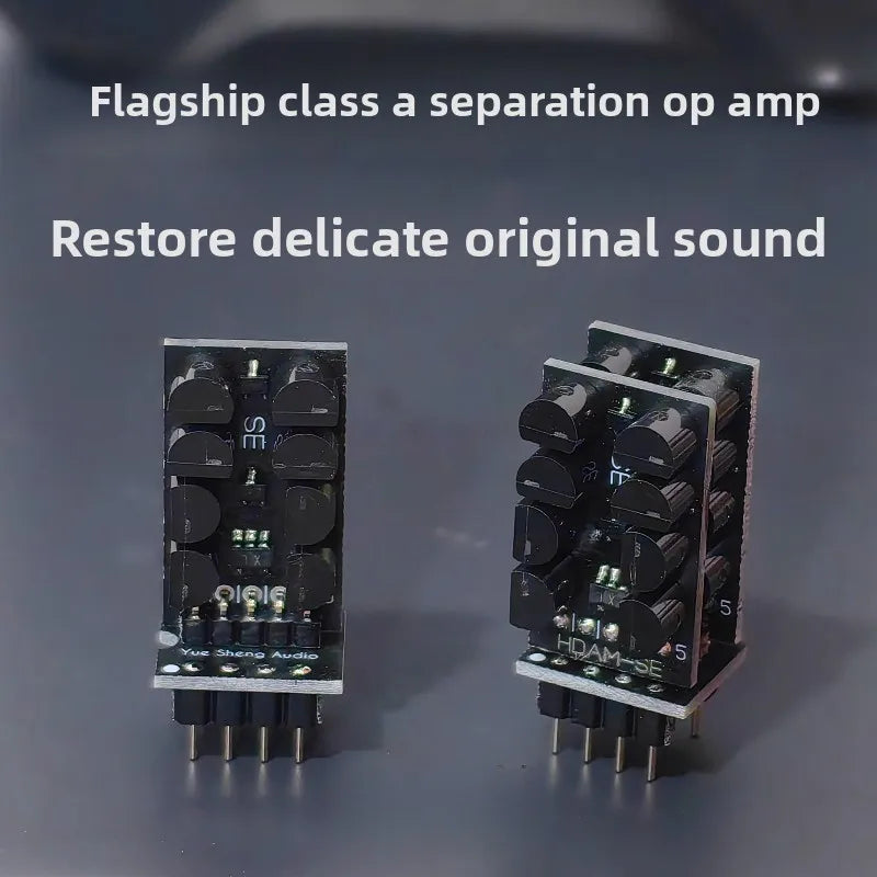 Marantz HDAM-SE Class A Fever Discrete Operational Amplifier, Direct Generation SS3601 SS3602 Operational Amplifier