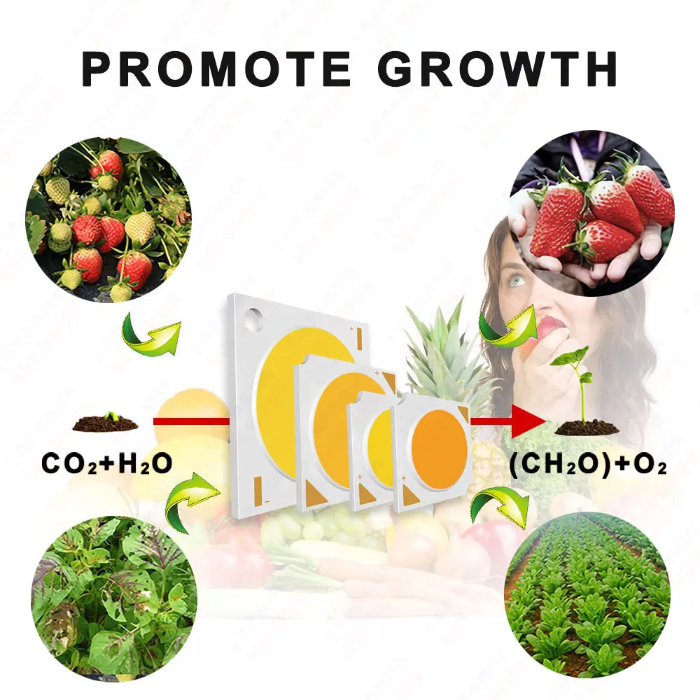 Hydroponice 3W 5W 10W 20W 30W 50W 100W COB LED Grow Light Chip Full Spectrum 400-840nm for Indoor Plant Seedling Growing Flower
