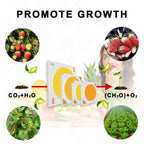 Hydroponice 3W 5W 10W 20W 30W 50W 100W COB LED Grow Light Chip Full Spectrum 400-840nm for Indoor Plant Seedling Growing Flower