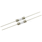 10PCS 5*20MM Fast Blow/Slow-Blow Ceramic Tube Fuse with Lead Wires 0.5A 1A 1.5A 2A 2.5A 3A 4A 5A 6.3A 8A 10A 15A 20A 25A 30A250V