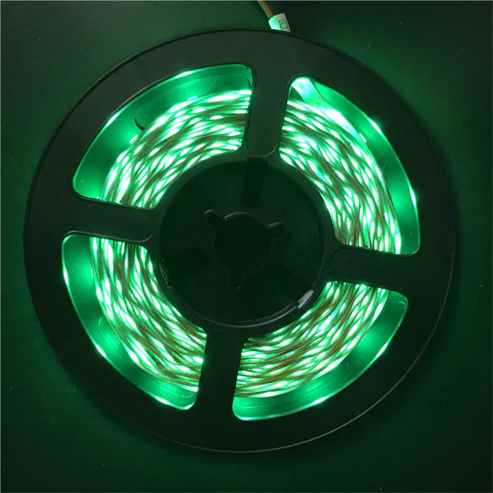 5M LED Strip Light 300 LEDs DC 12V RGB Red Green Blue Warm Cool White Flexible SMD 2835 Diode Ribbon Tape Lamp for Home Decor