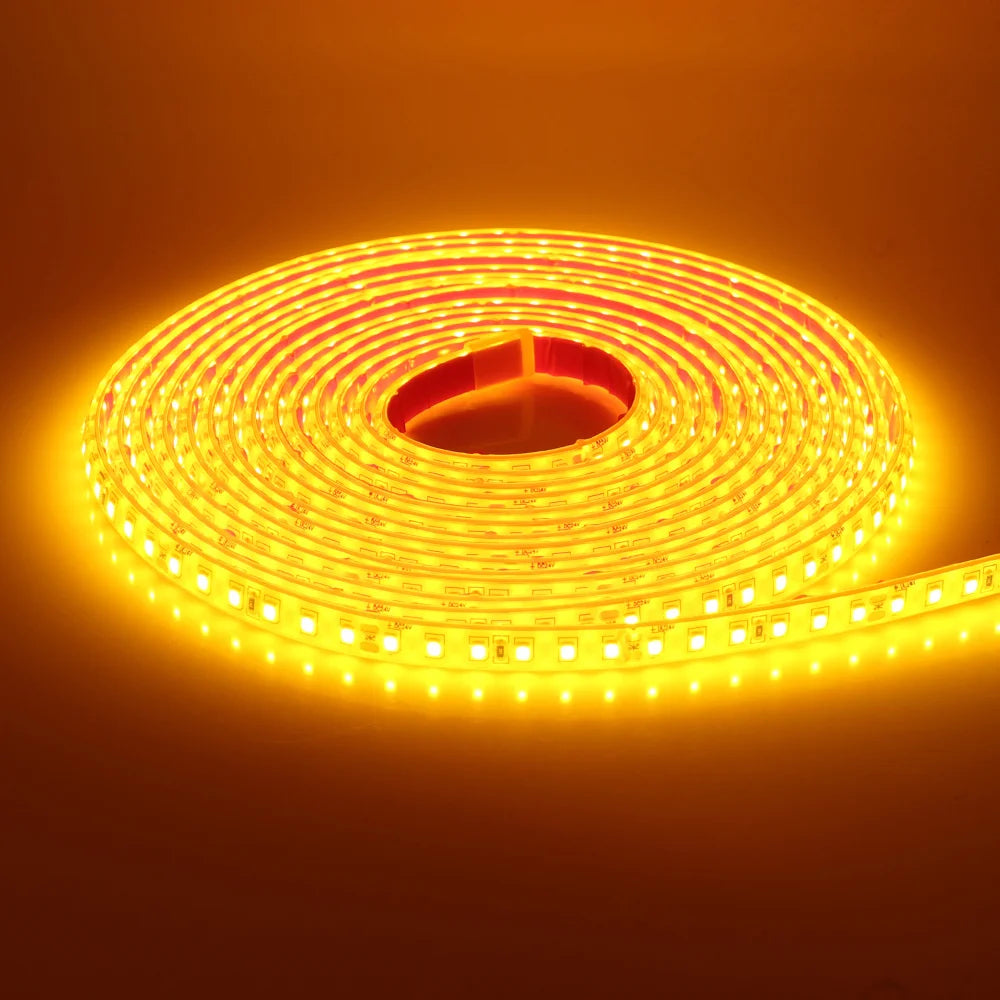 12V 24V 5m 10m 20m LED Strip Light IP68 Waterproof 2835 9 Colors Flexible Tape with 2pin Wire 120LED/m Bright Ribbon 0.5m 1m 2m