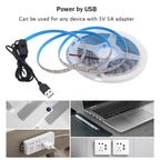 5V USB LED Strip Light 2835 Dimmable Touch Switch 60Led Backlight TV Flexible Tape Under Cabinet Light Night Lamp Warm White Red