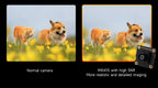 Raspberry Pi Camera 8MP IMX415 also For Luckfox-Omni3576 RK3576 Aura RV1126 IMX415 8MP Camera (A)