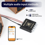DC 12V 24V XY-DT100H Bluetooth Power Amplifier Board Dual Channel High Power Sound 50W*2+100W Audio Speaker Module TPA3116