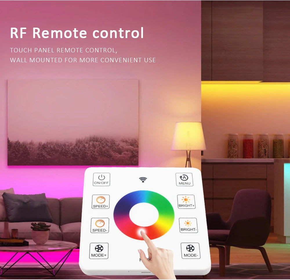 WS2811 RGB IC Running Water Flowing Strip Lights DC 24V 5050 60Leds RGBIC Flexible Ribbon RF Touch Remote Control LED Lighting