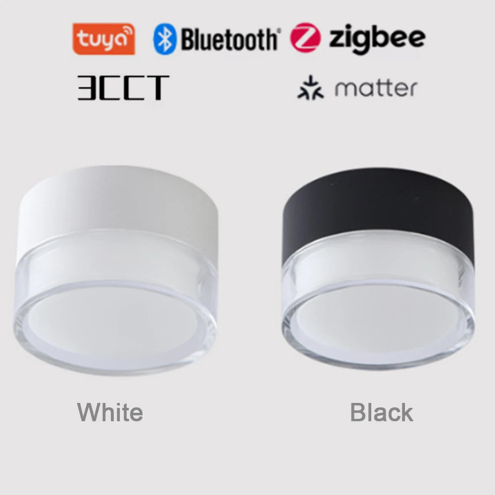 Led Surface Downlight 3CCT Tuya Bluetooth/ Zigbee Matter Fixtures Lighting Indoor Smart Lamp Lighting