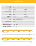 FCOB CCT LED Light Strip 640 LEDs High Density Flexible FOB COB 10mm Led Lights RA90 3000K to 6000K Linear Dimmable DC12V DC24V
