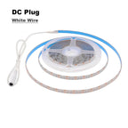 5V USB 2835 LED Strip Light with DC Plug 3528 SMD Flexible Led Tape Ribbon 60LED 0.5m 1m 2m 5m Cabinet Lights Night TV Backlight