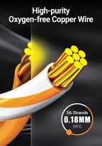 AMPCOM RJ45 Ethernet Cable, Cat6 Lan Cable (24AWG) UTP CAT 6 RJ 45 Network Cable Patch Cord for Desktop Computers Modem Router