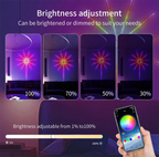 RGBIC Firework Strip Lights LED Bluetooth APP Control Neon Strip USB 5V Changing Smart Lamp Sync Music Bedroom Decor Dream Light