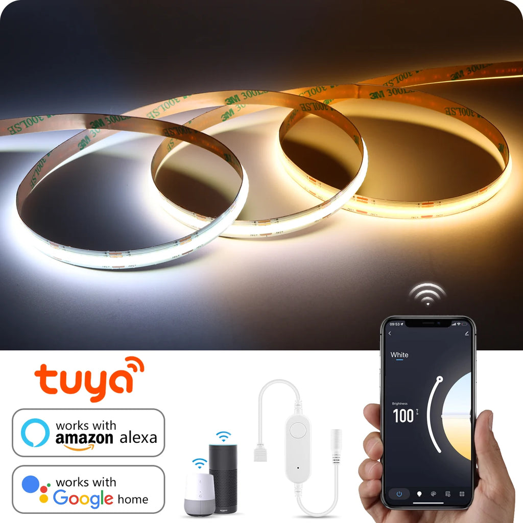 CCT 2700K-6500K Changeable Lamp Tuya Smart Home COB LED Strip Alexa Light Linear LED Tape With Dimmable WiFi LED Dimmer Switch