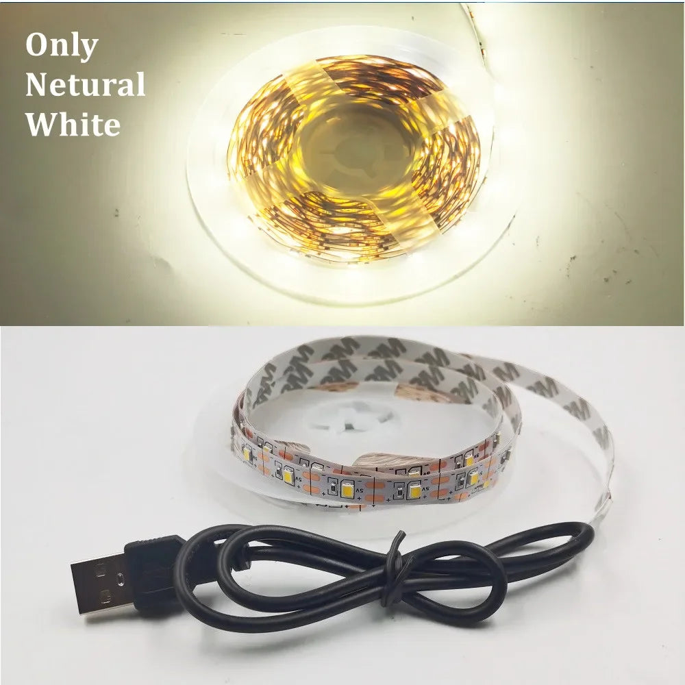5M USB LED Strip Light 5V 3528 1 Meter 5 Meter Warm Cool White Pink Green Blue Red SMD Ribbon Ceiling Cabinet Light Waterproof
