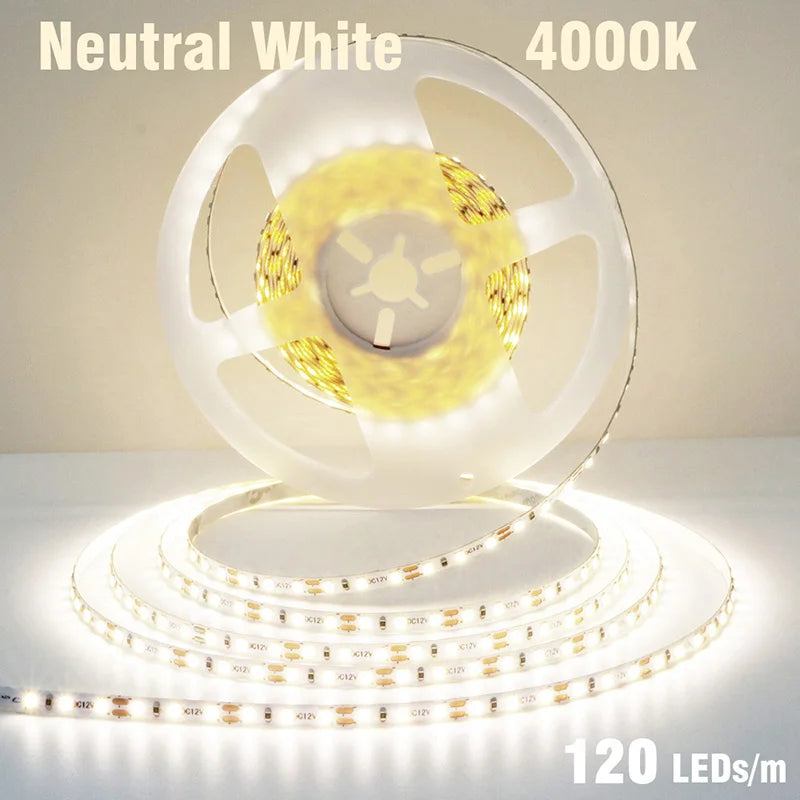 5mm 8mm LED Strip 2835 DC24V 12V 120LEDs/m Home Lamp Strips Red Ice Blue Yellow Orange Pink Flexible And Cuttable Soft Lamp Bar