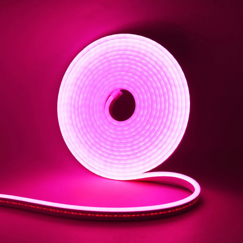 12V 24V LED Neon Light Strip Waterproof Neon Sign 6X12mm Silicone Rope Lights Flexible Lamp Decoration with DC Plug/2pin Wire