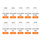 Axial Lead Glass Fuse Assortment Kit 100PCS 10 Sizes 3.6*10mm 0.5A 1A 2A 3A 5A 8A 10A 250V Slow Blow Fuse Tube For PCB Repair