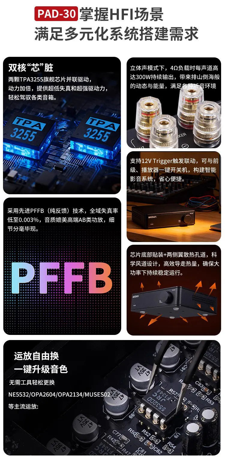 R-72 BRZHIFI Small Household High-End Digital Power Amplifier TPA3255 Dual-Core Power Amplifier PAD-30