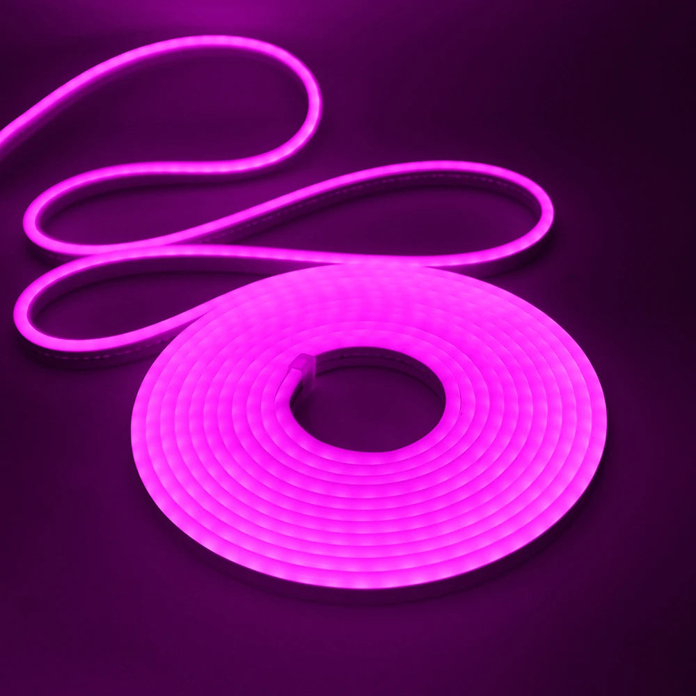 DC24V Solar LED Neon Strip Light Waterproof Warm White Blue Red Pink 6x12mm 2835 120LEDs/m Flexible Neon Rope Light Garden Decor