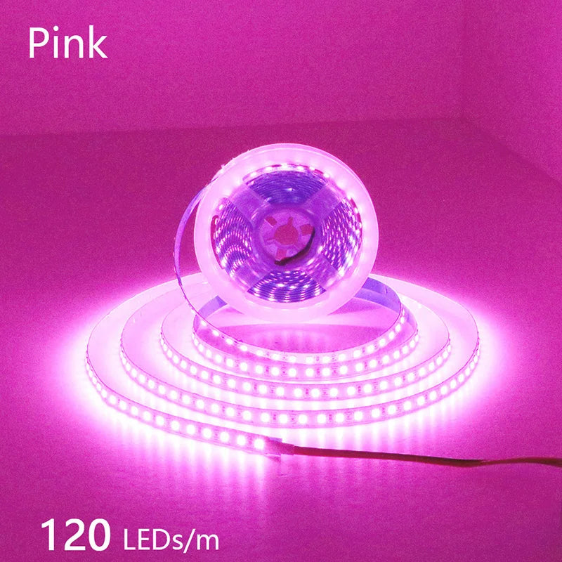 2835 5M 300 600 1200LEDs LED Strip DC12V 24V 120LEDs/m Home Waterproof IP65 Lamp Strip  Flexible And Cuttable Soft Lamp Bar