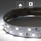 5M LED Strip Light DC 12V 24V 2835 Flexible Ribbon Diode Light 60/120/240/480 LED Stripe Warm Natural Cold White Luces Led Tape