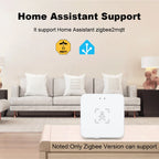 Haozee 24G Zigbee/Wifi Human Presence Detector Smart Human Body PIR Sensor Radar Detector Motion Sensors Support Home Assistant
