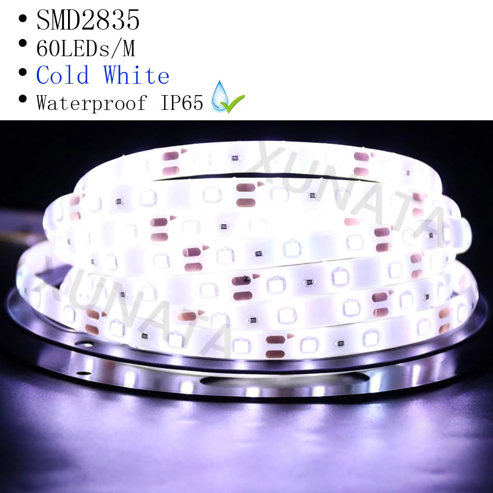 12V 24V 2835 LED Strip 5m 10m 15m 20m Tape Light Ribbon 60/120/240/480 LED Natural White / Warm White / Cold White Home Decor