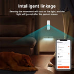 WiFi or Zigbee PIR Motion Sensor Tuya Smart Home Human Body Infrared Detector Security Smart Life Works With Alexa Google Home