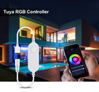 Tuya Smart Controller WIFI Led Controller 4pin/DC LED Strip Light Dimmable LED Dimmmer For 12V 5050 2835 Cob Neon Tape