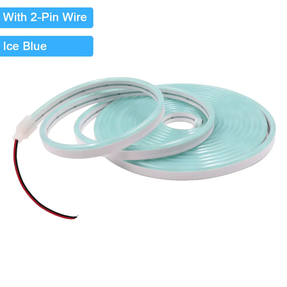 12V 24V LED Neon Light Strip Waterproof Neon Sign 6X12mm Silicone Rope Lights Flexible Lamp Decoration with DC Plug/2pin Wire