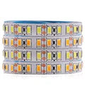 12V 5m SMD 2835 2025 LED Strip Light DC 480 240 120 LEDs Tape Flexible LED Lights Indoor Lingting for Home Waterproof IP65 IP67