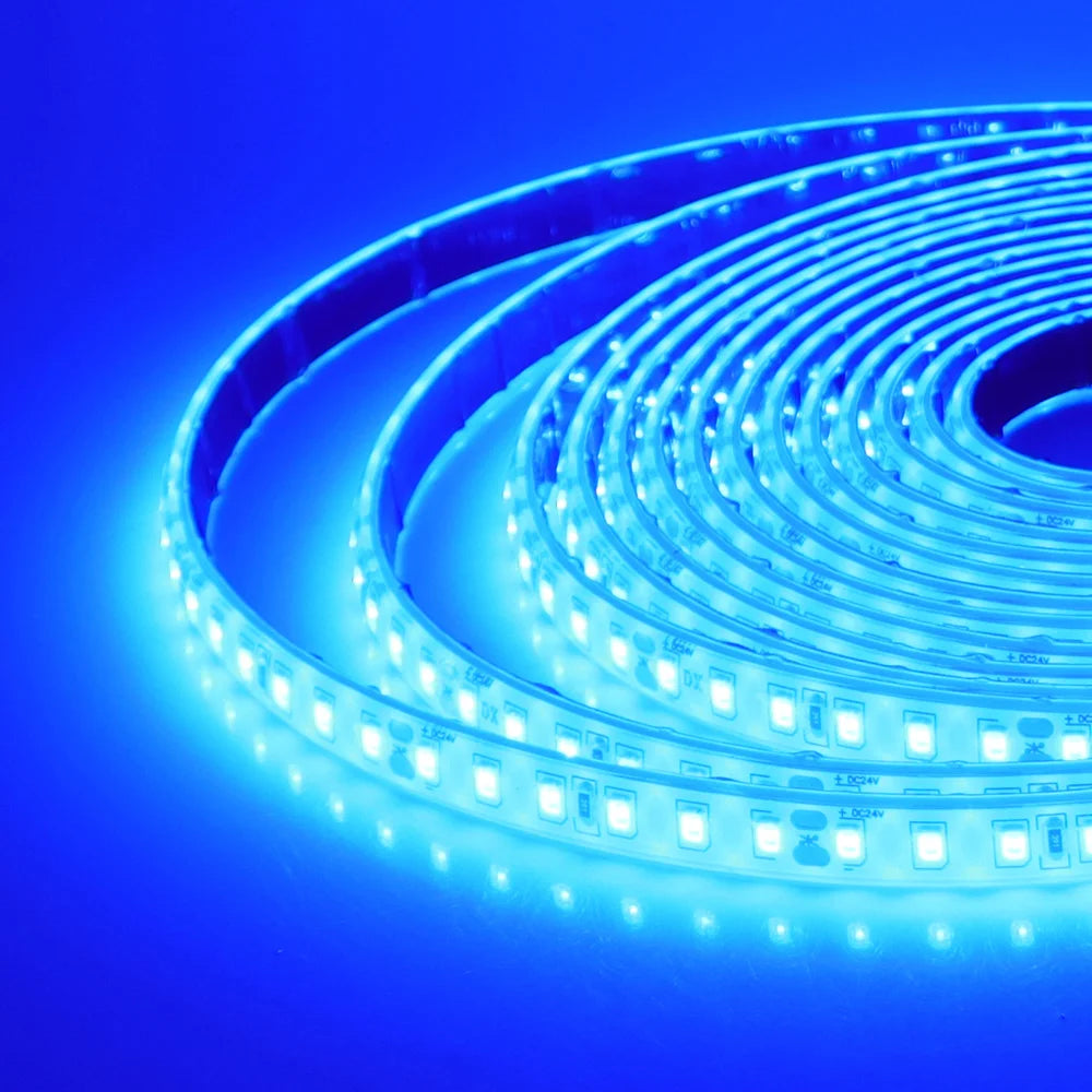 12V 24V 5m 10m 20m LED Strip Light IP68 Waterproof 2835 9 Colors Flexible Tape with 2pin Wire 120LED/m Bright Ribbon 0.5m 1m 2m