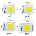 LED Chip COB lamp 10W 20W 30W 50W AC 220V 240V IP65 Smart IC No Need Driver DIY Flood light Led Bulb Spotlight Outdoor Lamp bead