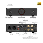 AIYIMA A20 PFFB Stereo Power Amplifier TPA3255 HiFi 2.0 Audio Amp 300Wx2 with XLR/RCA Fully Balanced Input HPF High Pass Filter
