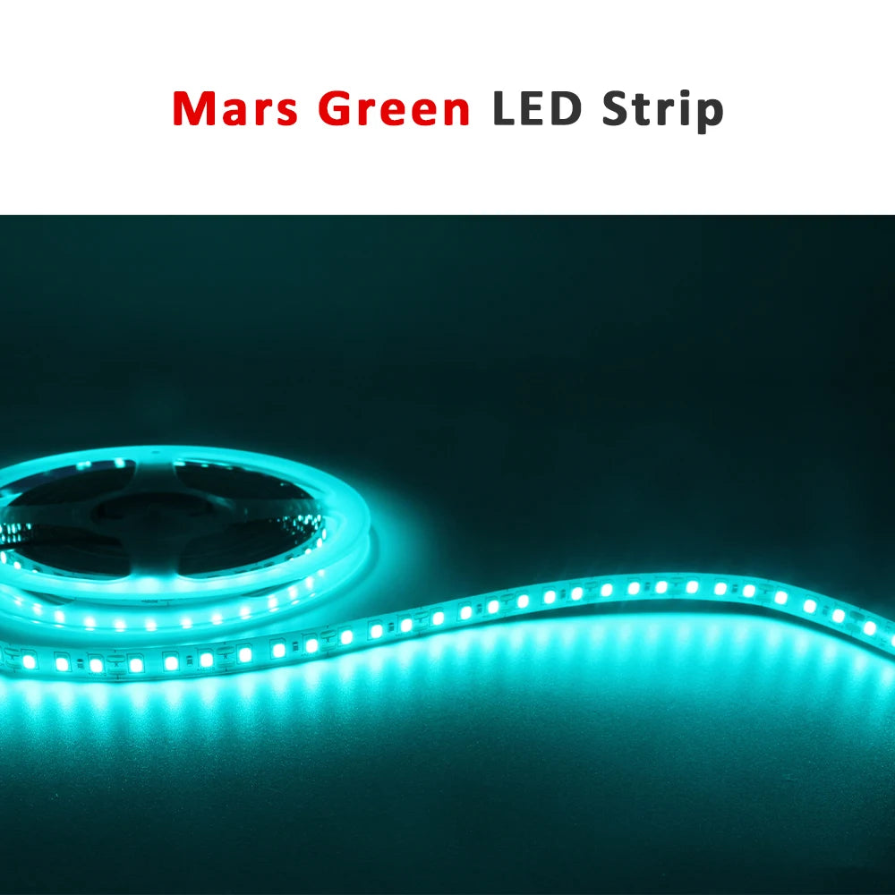 12V LED Strip 1M-5M 600 SMD 2835 6000K 3000K Warm White Stripe Flex Tape Light 120LEDs M 8mm PCB Non Waterproof Ledstrip Lamp