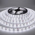 LED Strip Light 12V 5M 300 Leds SMD 3528 Diode Tape RGB & Single Colors High Quality LED Ribbon Flexible Home Decoration Lights