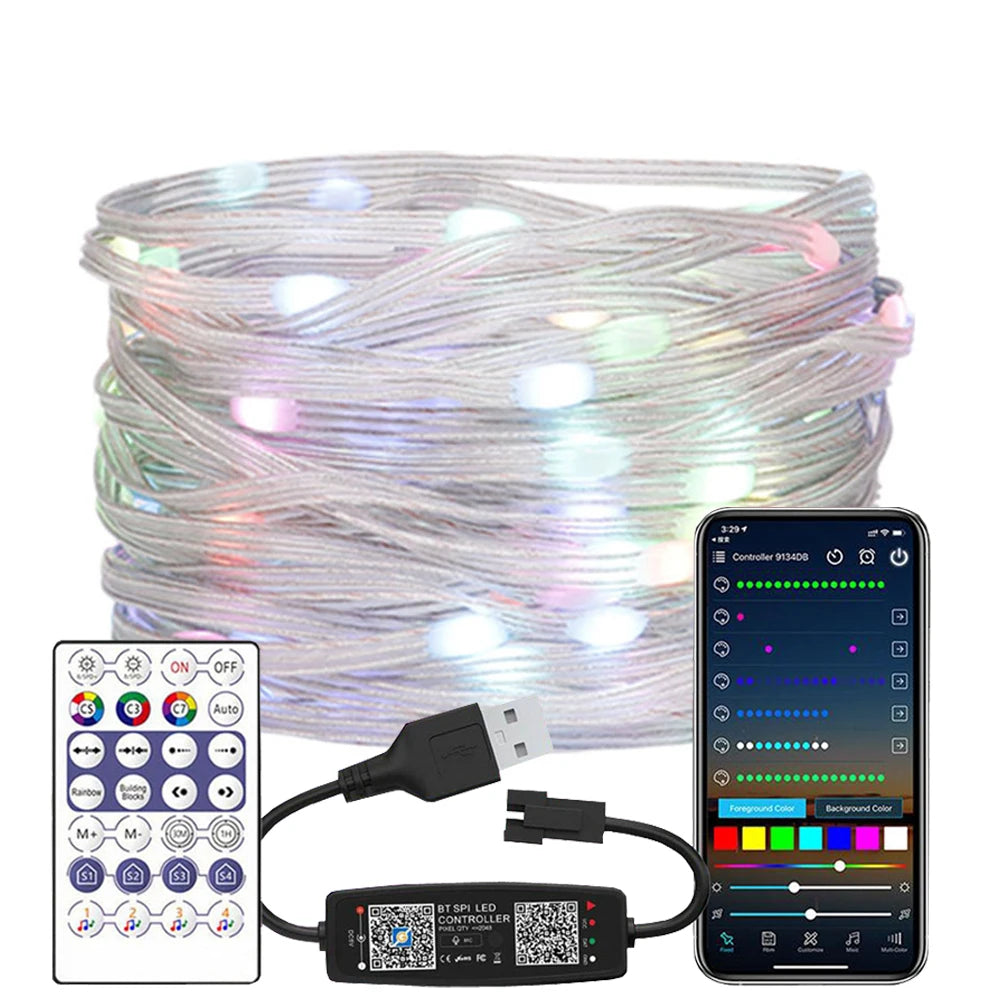 WS2812B RGB LED StringTransparent Green Black Wire Addressable  Wedding Garland Decoration Christmas Lights USB Controller DC5V