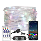 WS2812B RGB LED StringTransparent Green Black Wire Addressable  Wedding Garland Decoration Christmas Lights USB Controller DC5V