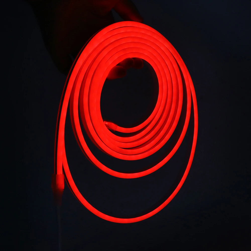 5V Bluetooth RGB LED Neon Strip Light 1M 2M 3M 3AA Battery Box 17Key 24key 44key Remote Control 108Leds/M Waterproof Room Decor